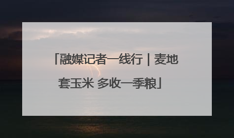 融媒记者一线行｜麦地套玉米 多收一季粮