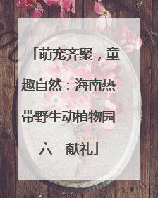 萌宠齐聚，童趣自然：海南热带野生动植物园六一献礼