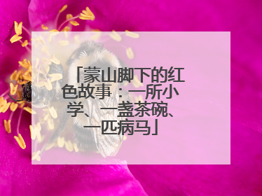 蒙山脚下的红色故事：一所小学、一盏茶碗、一匹病马