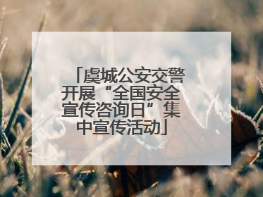 虞城公安交警开展“全国安全宣传咨询日”集中宣传活动