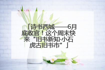 诗书西城——6月底收官！这个周末快来“旧书新知·小石虎古旧书市”