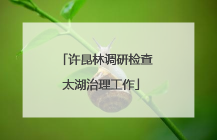 许昆林调研检查太湖治理工作