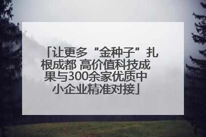 让更多“金种子”扎根成都 高价值科技成果与300余家优质中小企业精准对接
