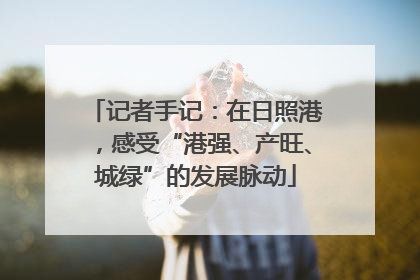 记者手记：在日照港，感受“港强、产旺、城绿”的发展脉动