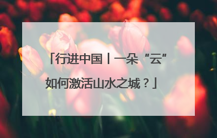 行进中国丨一朵“云”如何激活山水之城？