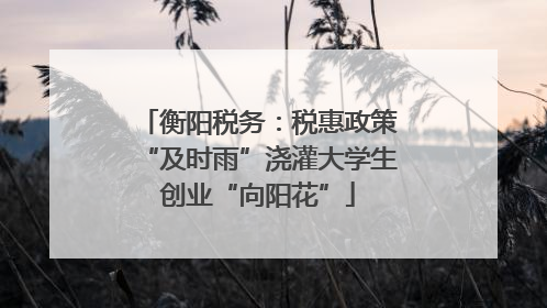 衡阳税务：税惠政策“及时雨”浇灌大学生创业“向阳花”