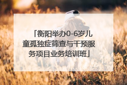衡阳举办0-6岁儿童孤独症筛查与干预服务项目业务培训班