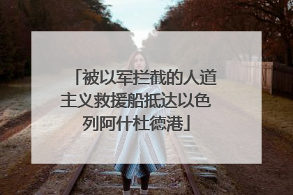 被以军拦截的人道主义救援船抵达以色列阿什杜德港