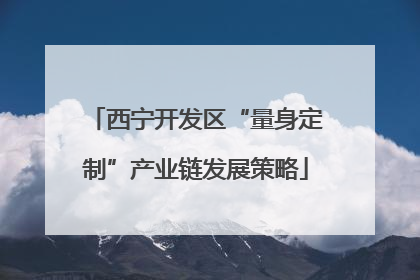 西宁开发区“量身定制”产业链发展策略