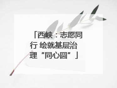 西峡：志愿同行 绘就基层治理“同心圆”