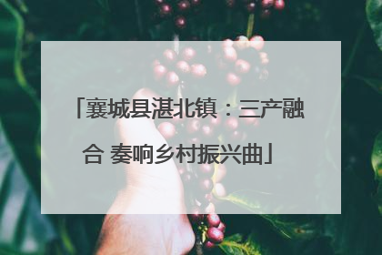 襄城县湛北镇：三产融合 奏响乡村振兴曲