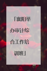 襄阳举办审计综合工作培训班