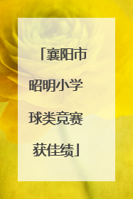 襄阳市昭明小学球类竞赛获佳绩