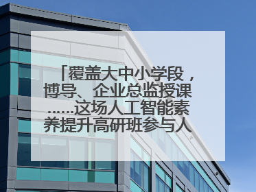 覆盖大中小学段，博导、企业总监授课……这场人工智能素养提升高研班参与人次达30万