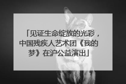 见证生命绽放的光彩，中国残疾人艺术团《我的梦》在沪公益演出