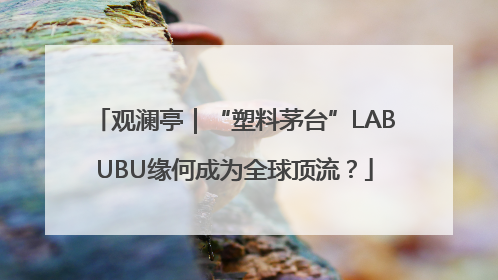 观澜亭｜“塑料茅台”LABUBU缘何成为全球顶流？