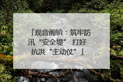 观音阁镇：筑牢防汛“安全堤” 打好抗洪“主动仗”