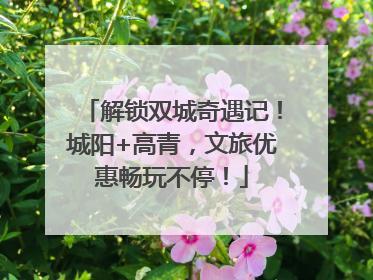 解锁双城奇遇记！城阳+高青，文旅优惠畅玩不停！