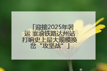迎接2025年暑运 襄渝铁路达州站打响史上最大规模换岔“攻坚战”