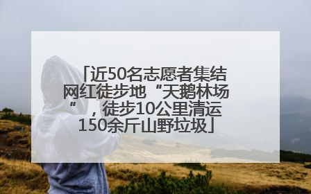 近50名志愿者集结网红徒步地“天鹅林场”，徒步10公里清运150余斤山野垃圾