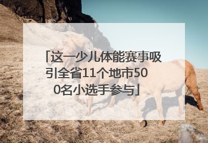 这一少儿体能赛事吸引全省11个地市500名小选手参与