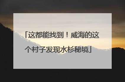 这都能找到！威海的这个村子发现水杉秘境