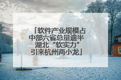 软件产业规模占中部六省总量逾半 湖北“软实力”引来杭州两小龙