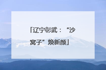 辽宁彰武：“沙窝子”焕新颜