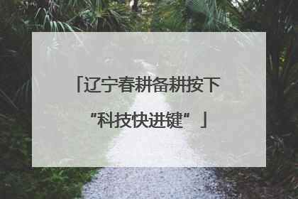 辽宁春耕备耕按下“科技快进键”