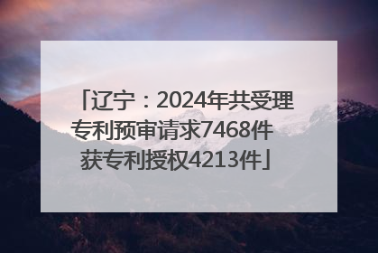 辽宁：2024年共受理专利预审请求7468件 获专利授权4213件