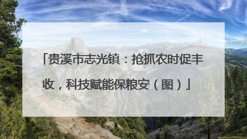 贵溪市志光镇：抢抓农时促丰收，科技赋能保粮安（图）