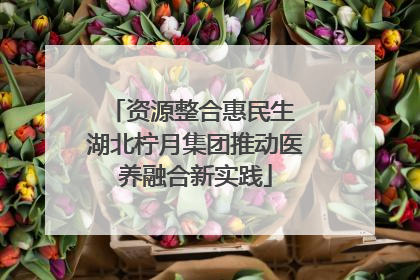 资源整合惠民生 湖北柠月集团推动医养融合新实践