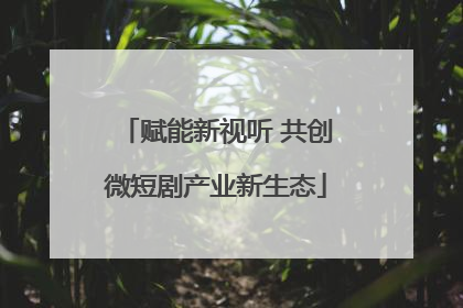 赋能新视听 共创微短剧产业新生态