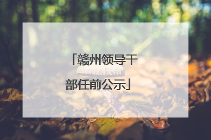赣州领导干部任前公示