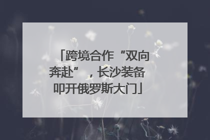 跨境合作“双向奔赴”，长沙装备叩开俄罗斯大门