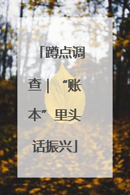 蹲点调查｜“账本”里头话振兴