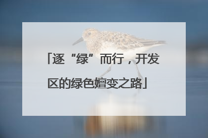逐“绿”而行，开发区的绿色嬗变之路