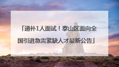 递补1人面试！泰山区面向全国引进急需紧缺人才最新公告