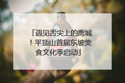 遇见舌尖上的鹰城！平顶山首届东坡美食文化季启动