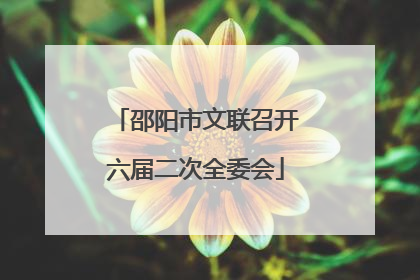 邵阳市文联召开六届二次全委会