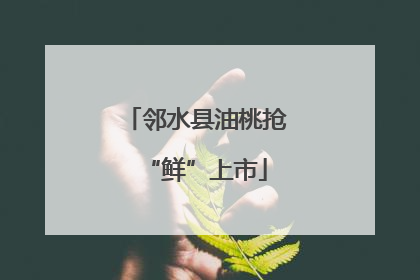 邻水县油桃抢“鲜”上市