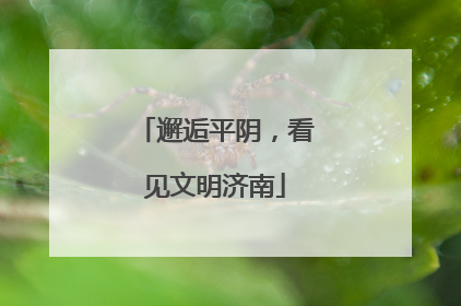 邂逅平阴，看见文明济南