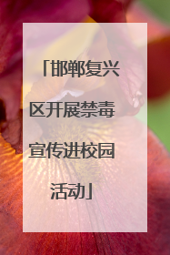 邯郸复兴区开展禁毒宣传进校园活动