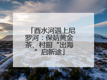 酉水河遇上尼罗河：保靖黄金茶、村厨“出海”启新途