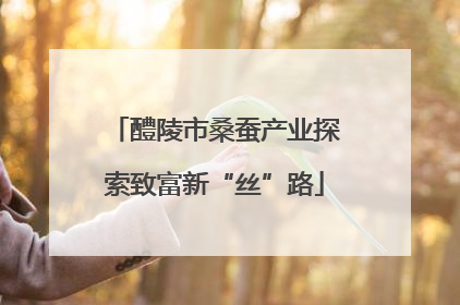 醴陵市桑蚕产业探索致富新“丝”路