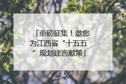 重磅征集！邀您为江西省“十五五”规划建言献策