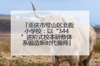 重庆市璧山区北街小学校：以“344”进阶式校本研修体系锻造新时代强师