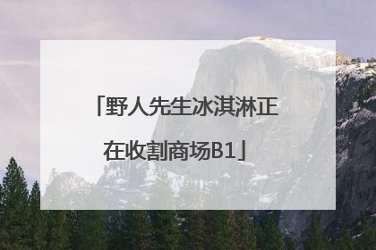 野人先生冰淇淋正在收割商场B1