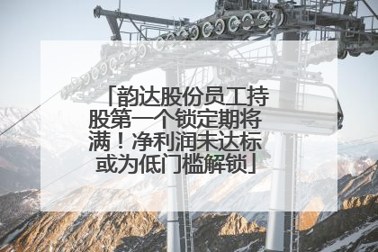 韵达股份员工持股第一个锁定期将满！净利润未达标或为低门槛解锁