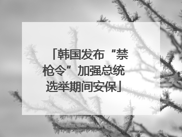 韩国发布“禁枪令”加强总统选举期间安保
